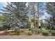 Well maintained front yard with mature landscaping and home in the background at 560 Front Range Rd, Littleton, CO 80120