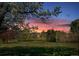 Beautiful green front lawn with trees in bloom and gorgeous colorful sunset sky at 1225 Baker St, Longmont, CO 80501