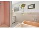 Retro bathroom featuring a pink tile shower, tub, and a hanging plant by the window at 1333 Mariposa Ave, Boulder, CO 80302