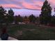 Beautiful backyard view featuring lush trees, landscaped yard, and colorful sunset sky at 6122 Maroon Peak Pl, Castle Rock, CO 80108