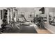 Home gym with full weight set, treadmill, bright windows, and mirrors at 6122 Maroon Peak Pl, Castle Rock, CO 80108