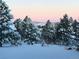 Scenic winter view of snow-covered evergreen trees and snow covered ground at 6122 Maroon Peak Pl, Castle Rock, CO 80108