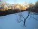 Large backyard with snow-covered lawn and trees at 2603 W 100Th Pl, Federal Heights, CO 80260