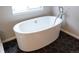 Freestanding bathtub with hexagon tile flooring in a modern bathroom at 5695 Cadara Way, Parker, CO 80134