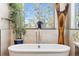Spa-like bathroom featuring a freestanding tub and large windows at 1151 Kenosha Dr, Larkspur, CO 80118