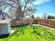 Private backyard features a well-manicured lawn and a charming storage shed at 8403 Chase Dr, Arvada, CO 80003