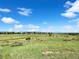 Scenic view of the neighborhood, with lush green field, walking paths, and mountain views at 8056 E 35Th Ave, Denver, CO 80238