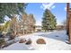 Spacious backyard view featuring a lush lawn, snow, mature trees, and a charming home with deck, perfect for outdoor enjoyment at 34 Amaranth Dr, Littleton, CO 80127