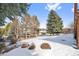 Large snow-covered backyard with mature trees provides privacy and a serene natural setting at 34 Amaranth Dr, Littleton, CO 80127