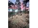 A beautiful backyard at dusk with majestic elk grazing peacefully at 4786 Forest Hill Rd, Evergreen, CO 80439