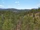 Scenic view showcasing the property's serene setting among lush greenery, offering privacy at 4786 Forest Hill Rd, Evergreen, CO 80439