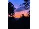 Beautiful sunset view from the property, showcasing the sky and trees at 4786 Forest Hill Rd, Evergreen, CO 80439