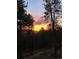 Beautiful sunset illuminating the sky with gold and yellow hues viewed through pine trees at 4786 Forest Hill Rd, Evergreen, CO 80439