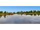 Calm pond view with mature trees, lush shoreline, and landscaping reflecting in the water at 16494 Aliante Dr, Broomfield, CO 80023