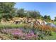 Beautiful landscaping with a waterfall feature flowing over rocks into a pond and colorful flowers at 16494 Aliante Dr, Broomfield, CO 80023