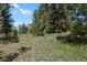 Exterior view of the property surrounded by trees and a sprawling lawn at 9359 Barnes Ave, Conifer, CO 80433