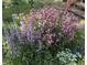 A delightful garden showcases a variety of colorful flowers in full bloom at 9359 Barnes Ave, Conifer, CO 80433