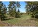 Beautiful property lot featuring lush grasses and mature trees, offering a serene setting at 9359 Barnes Ave, Conifer, CO 80433