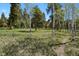 Scenic property featuring a mix of trees and meadows, ideal for recreation at 9359 Barnes Ave, Conifer, CO 80433
