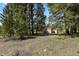 Property featuring two storage sheds in a wooded area, offering ample space at 9359 Barnes Ave, Conifer, CO 80433