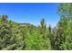 Scenic mountain views through mature pine trees as seen from a home in a forest at 11333 Conifer Mountain Rd, Conifer, CO 80433