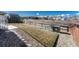 Wide view of the backyard featuring manicured grass and stone landscaping at 2541 Leafdale Cir, Castle Rock, CO 80109