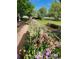 Beautiful flower garden with a gravel path featuring lush irises and greenery at 1069 Crestmoor Dr, Boulder, CO 80303