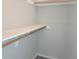 Walk-in closet with shelving at 886 Summer Dr, Highlands Ranch, CO 80126
