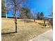 Landscaped grounds with mature trees under a vibrant blue sky at 886 Summer Dr, Highlands Ranch, CO 80126