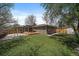 Lush backyard featuring a well-maintained lawn, a deck area with pergola, and mature trees at 1746 Shavano St, Longmont, CO 80504