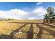Expansive dog park area with fencing, a water station, and plenty of room to run at 1825 Wingfeather Ln, Castle Rock, CO 80108