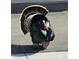 A wild turkey struts along the property, showcasing the natural surroundings at 6835 Surrey Trl, Littleton, CO 80125