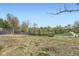 Large backyard with grass, trees, fence, and storage area at 1146 Croke Dr, Thornton, CO 80260