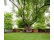 Green backyard featuring a large, mature shade tree and privacy fence at 7695 Quitman St, Westminster, CO 80030