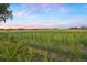 Expansive land with wild vegetation under a picturesque skyline at 777 Whispering Oak Dr, Castle Rock, CO 80104