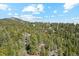 An overhead distant shot of a rural mountain home nestled amongst lush green trees at 1278 Aspen Dr, Evergreen, CO 80439