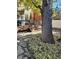 Stone paver patio with a deck, outdoor furniture, and a large tree providing shade at 1419 N Adams St, Denver, CO 80206