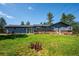 Spacious backyard featuring lush green grass and well-maintained landscaping, offering tranquility and privacy at 29263 Sue Rd, Evergreen, CO 80439