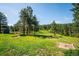 Expansive backyard offering serene natural views and outdoor features, perfect for enjoying outdoor activities at 29263 Sue Rd, Evergreen, CO 80439
