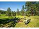 Large open backyard featuring a fire pit, ideal for gatherings and enjoying the outdoors in a peaceful setting at 29263 Sue Rd, Evergreen, CO 80439