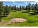 Expansive property featuring fenced area with lush green grass and mature trees, offering privacy and space at 29263 Sue Rd, Evergreen, CO 80439
