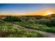 Scenic sunset view from community trail, surrounded by lush greenery and rolling hills at 2702 Rising Moon Way, Castle Rock, CO 80109
