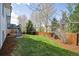 Spacious backyard with a well-manicured lawn, mature trees, and privacy fencing at 2359 Dogwood Dr, Erie, CO 80516