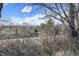 Distant scenic view through trees at 2609 S Quebec S St # 20, Denver, CO 80231