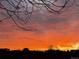 Striking image of a fiery sunset sky with dark tree silhouettes on the horizon at 11307 Navajo Cir # A, Westminster, CO 80234