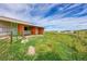 Exterior shot of the barn with a grass enclosure at 35675 Cheyenne Trl, Elizabeth, CO 80107