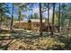 Picturesque backyard view of a well-maintained home surrounded by lush trees at 20190 Deer Shadow Way, Monument, CO 80132