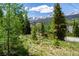 Picturesque mountain view framed by lush greenery and trees, offering a serene natural landscape at 422 Fairview Blvd, Breckenridge, CO 80424