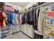 Walk-in closet with organized shelving, drawers, rods, and ample storage for clothing and accessories at 6616 Amur Ln, Castle Rock, CO 80108