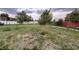 Expansive backyard offers room to roam and potential for gardening at 7115 Harold St # 2, Fort Lupton, CO 80621